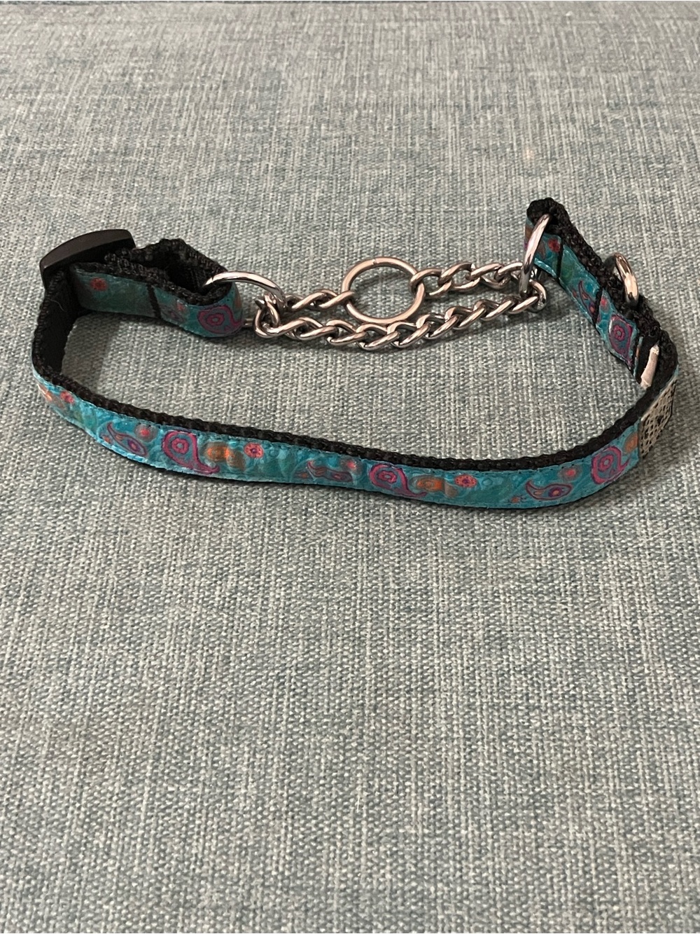 Gently Used Dog Collar